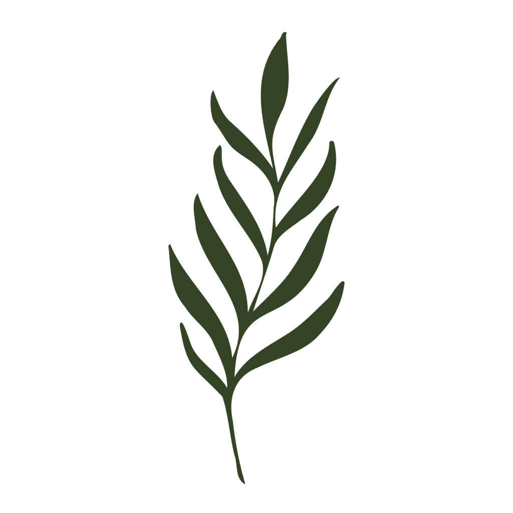 The Wisdom of Nature