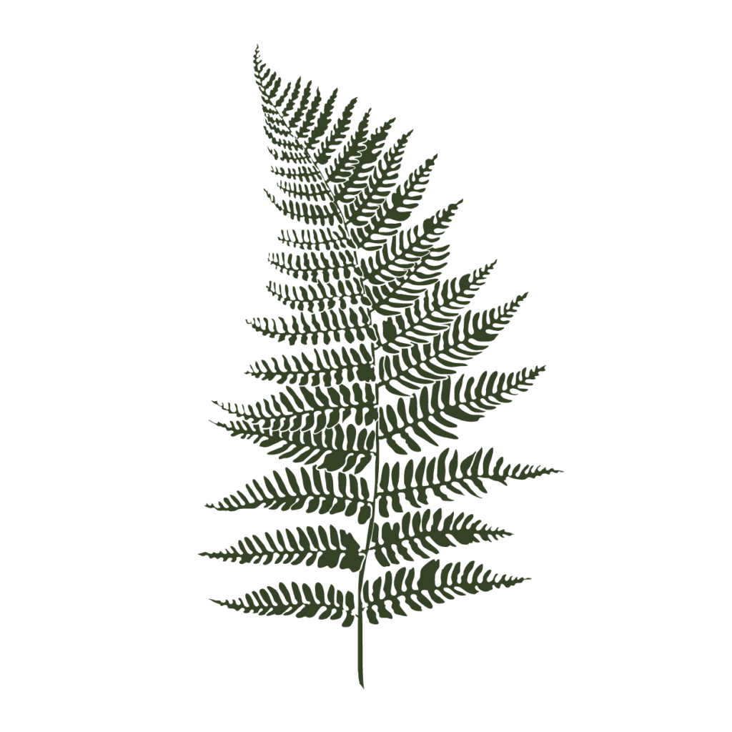 The Wisdom of Nature